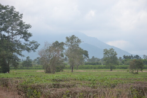 DSC_0356.jpeg