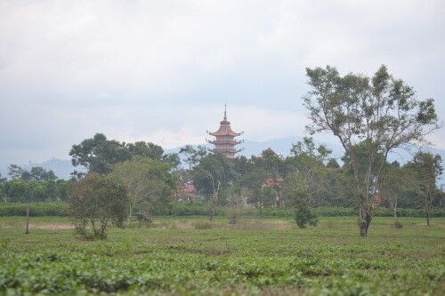 DSC_0358.jpeg