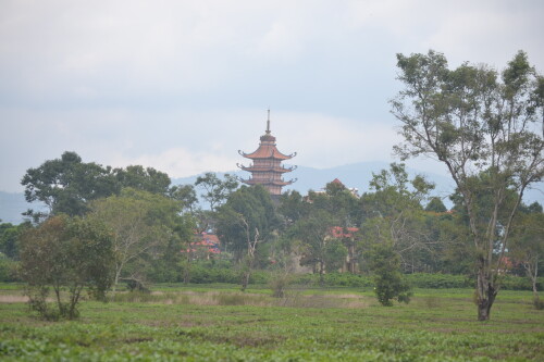 DSC_0359.jpeg