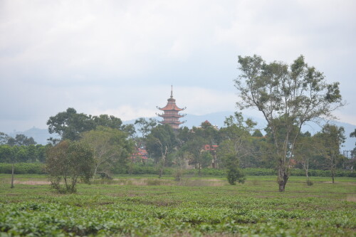 DSC_0360.jpeg
