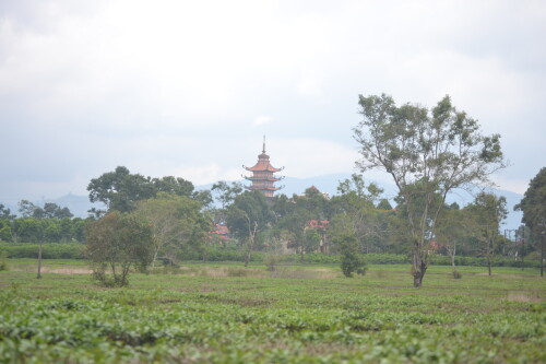 DSC 0361