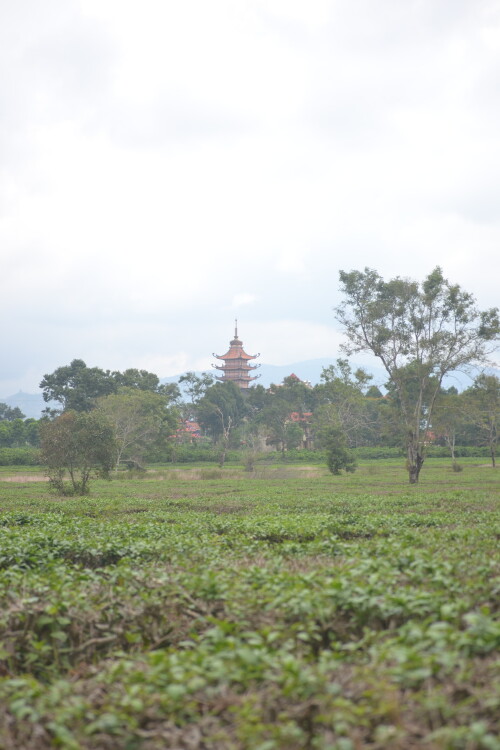 DSC_0362.jpeg