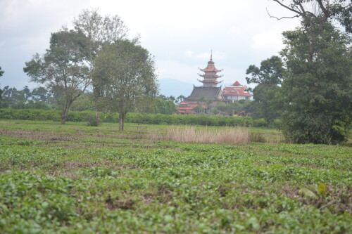 DSC_0367.jpeg