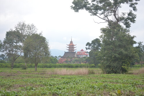 DSC_0368.jpeg