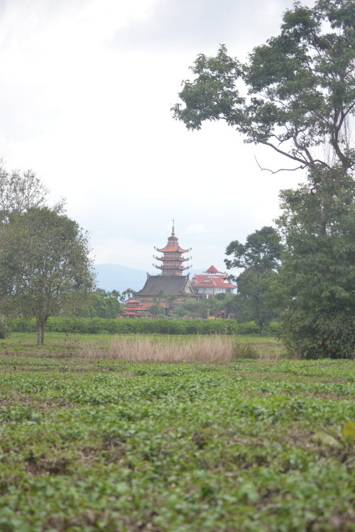 DSC_0369.jpeg