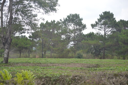 DSC_0374.jpeg