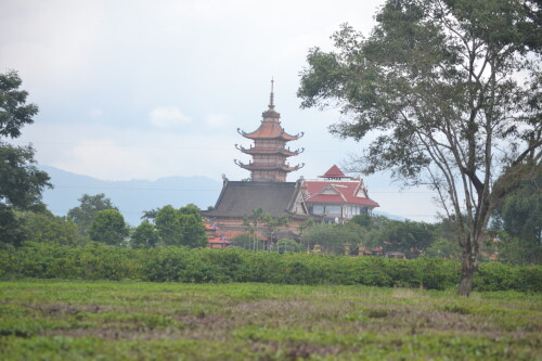 DSC_0380.jpeg