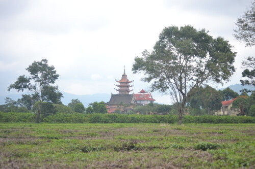 DSC_0381.jpeg