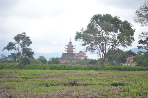 DSC_0382.jpeg