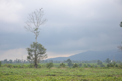DSC_0384.jpeg