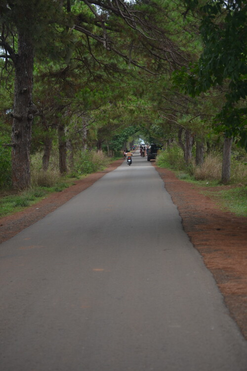 DSC 0389