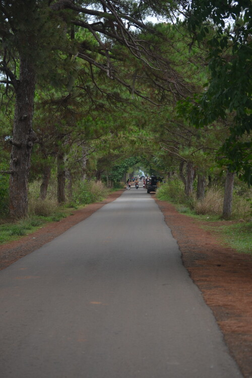 DSC_0390.jpeg
