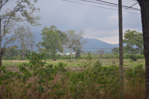 DSC_0392.jpeg