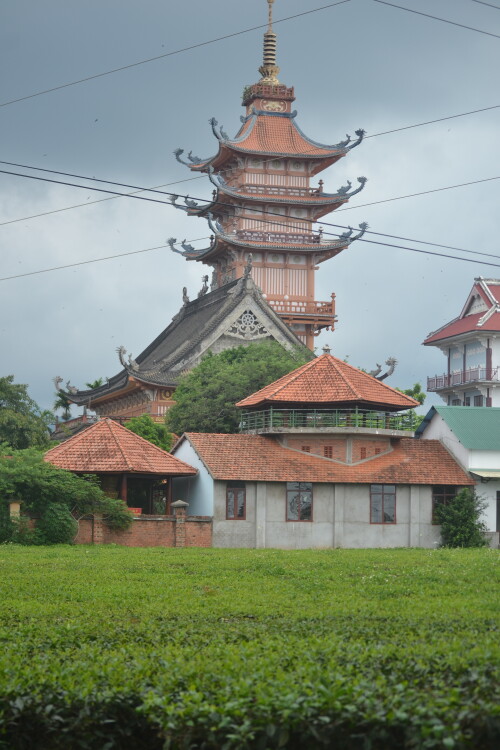 DSC_0397.jpeg