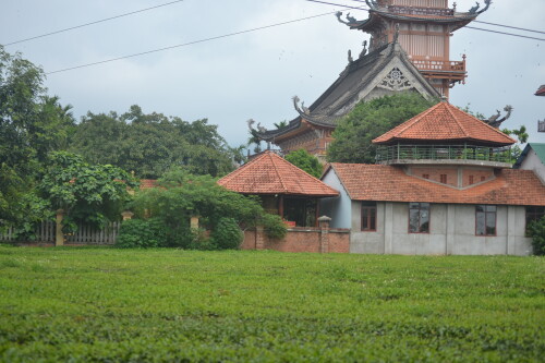 DSC_0407.jpeg