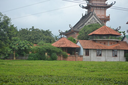 DSC_0408.jpeg