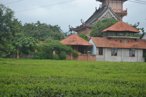 DSC_0409.jpeg