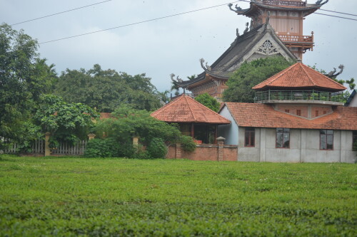 DSC_0410.jpeg