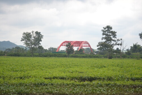 DSC_0411.jpeg