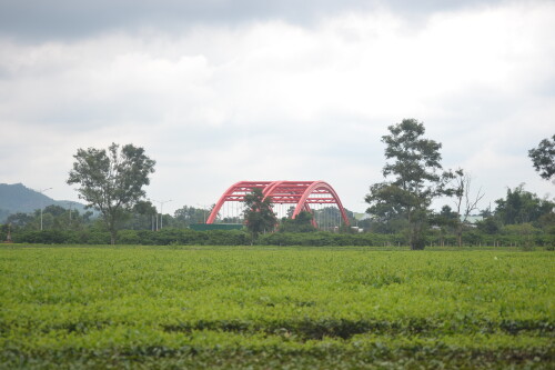 DSC 0412