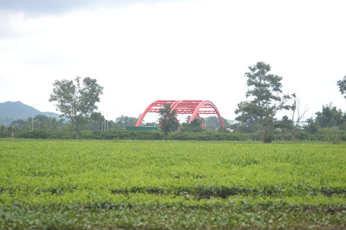 DSC_0415.jpeg