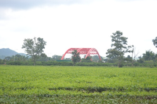 DSC_0416.jpeg