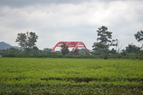 DSC_0417.jpeg