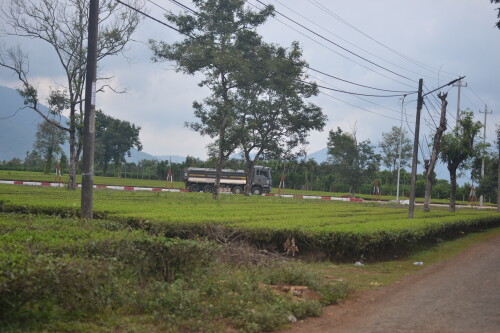 DSC_0418.jpeg