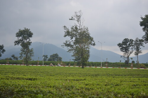 DSC_0419.jpeg
