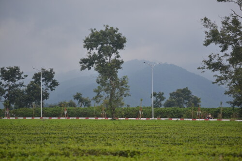 DSC 0420