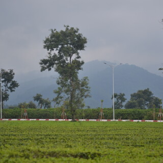 DSC_0420