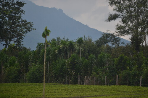 DSC 0422