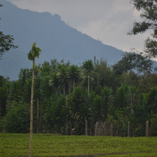 DSC_0422